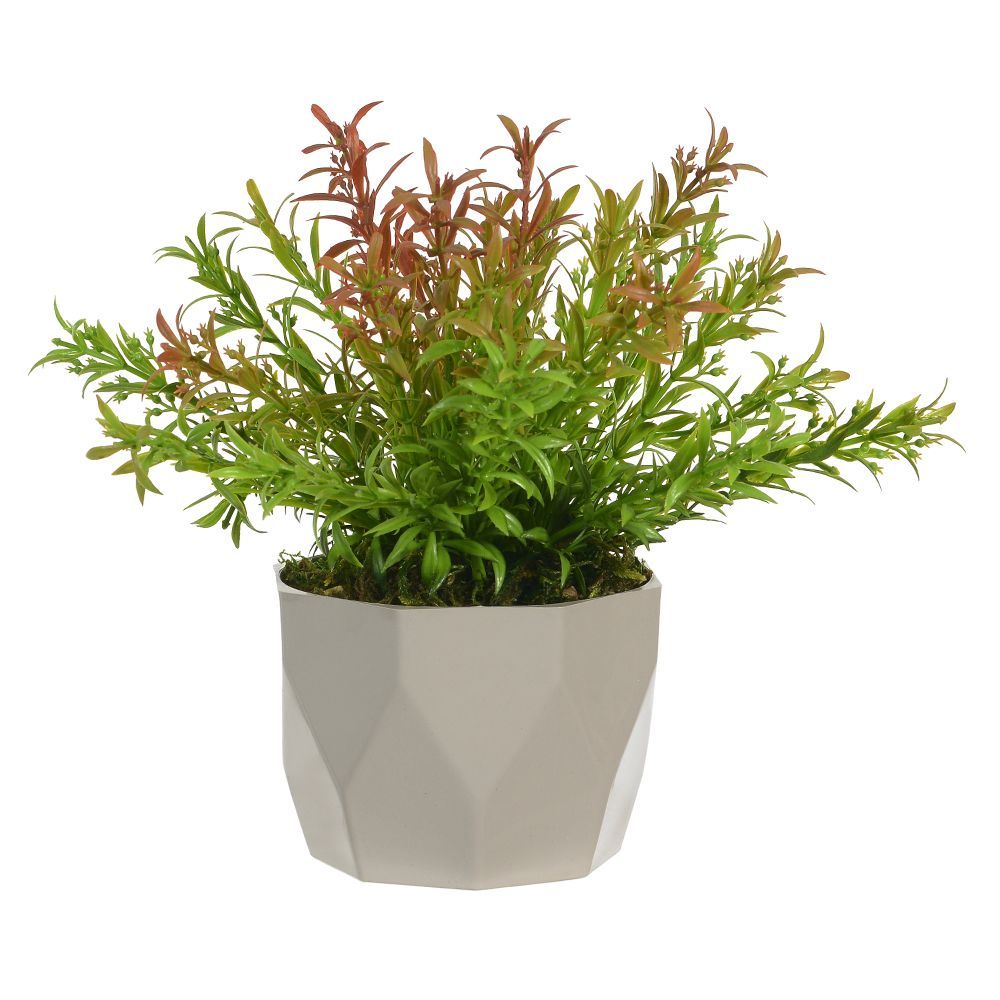 Arranjo Alecrim 20Cm Florarte