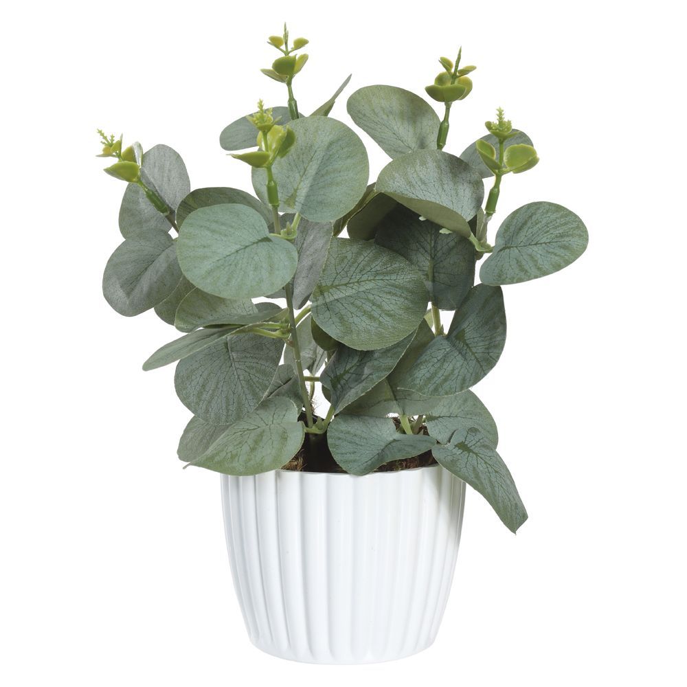 Arranjo Eucalipto Florarte 24X25cm - EUCALIPTO