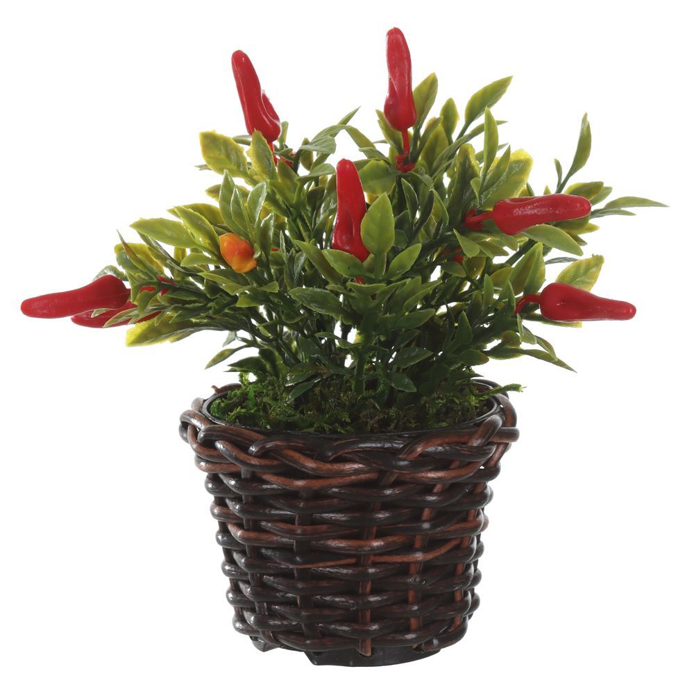 Arranjo Pimentinha Florarte 15Cm Verde - PIMENTINHA