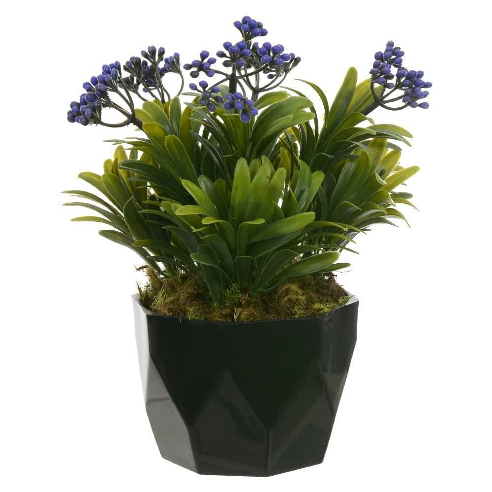 Arranjo Podocarpos Sementes Florarte 24Cm - Sortido