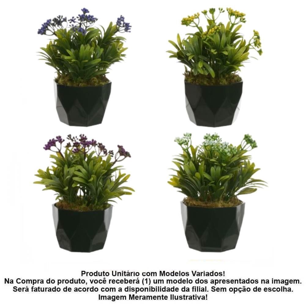 Arranjo Podocarpos Sementes Florarte 24Cm - Sortido