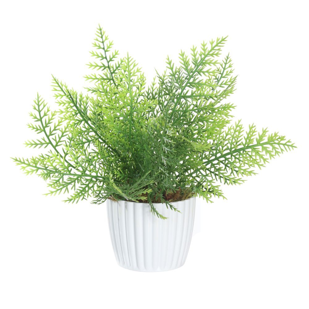 Arranjo Samambaia Florarte 24X25cm - SAMAMBAIA