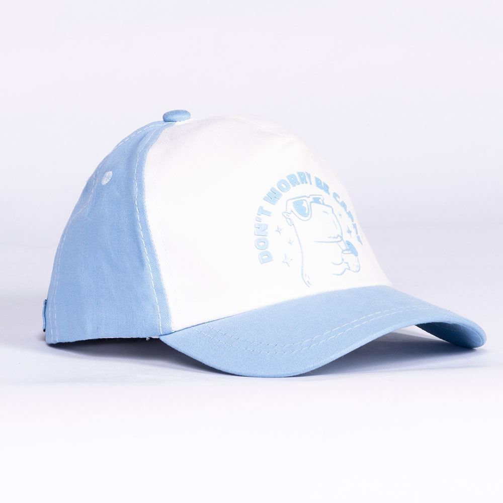 Boné Infantil Menino 4 a 10 Anos Capivara Hot Dog - Branco