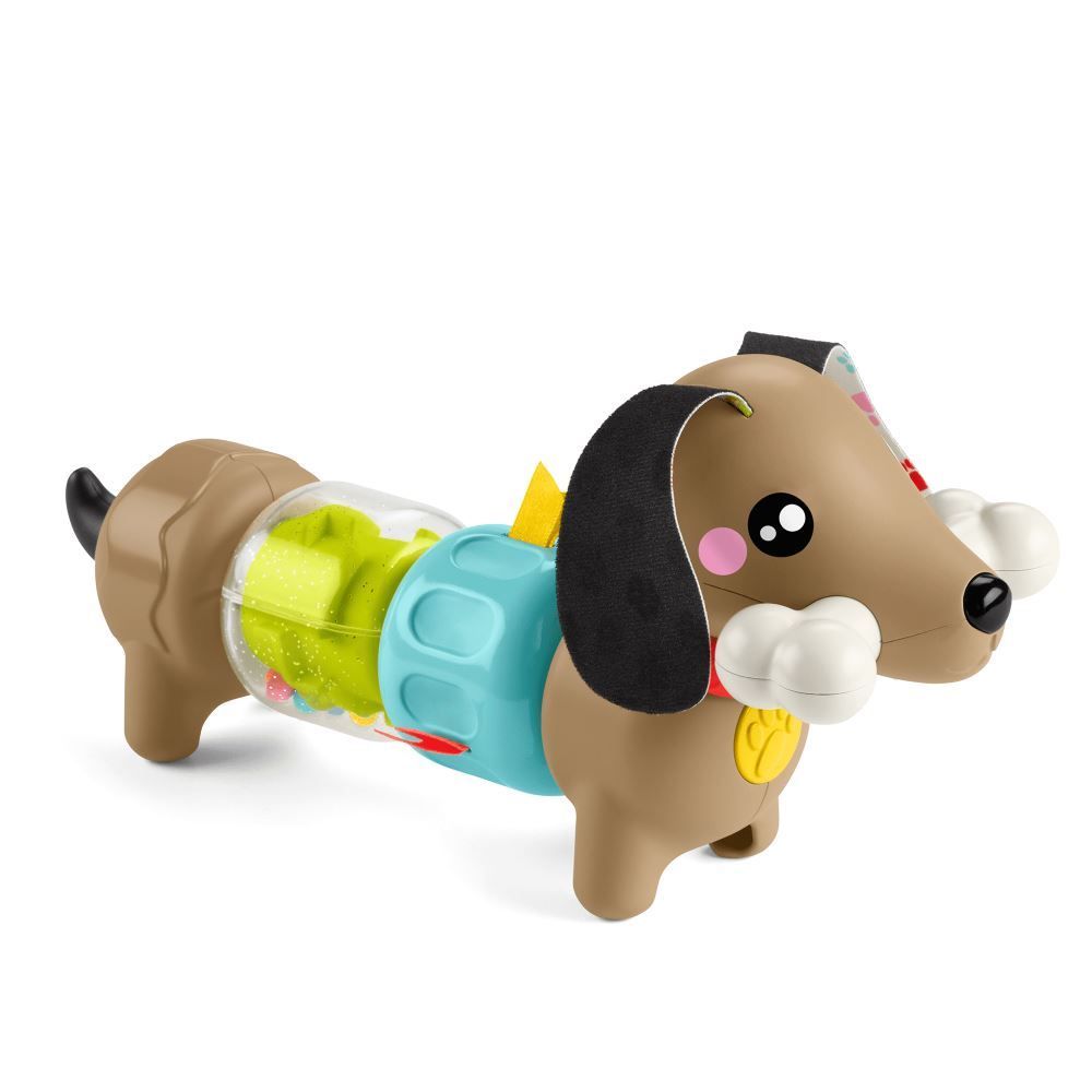 Cachorrinho Atividades Divertidas Fisher-Price - HTW9I