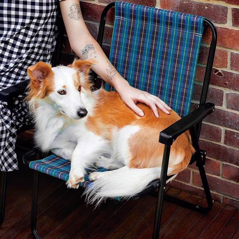 Cadeira De Praia Alta Aço Xadrez Marine Mor - 002052