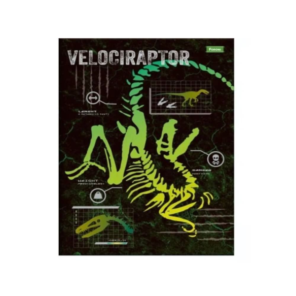 Caderno Brochura Sauros Foroni - Sortido