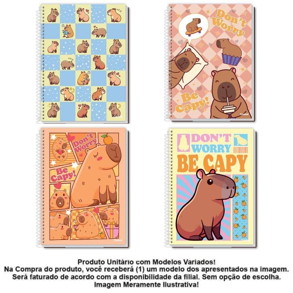 Caderno Universitário Capa Dura Espiral 10 Matérias 160 Folhas