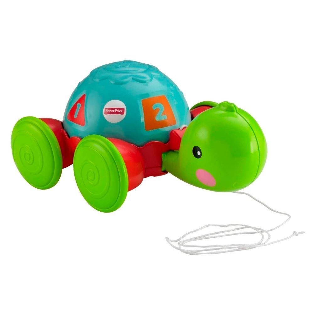 Empurra Tartaruga Fisher Price - Y8652