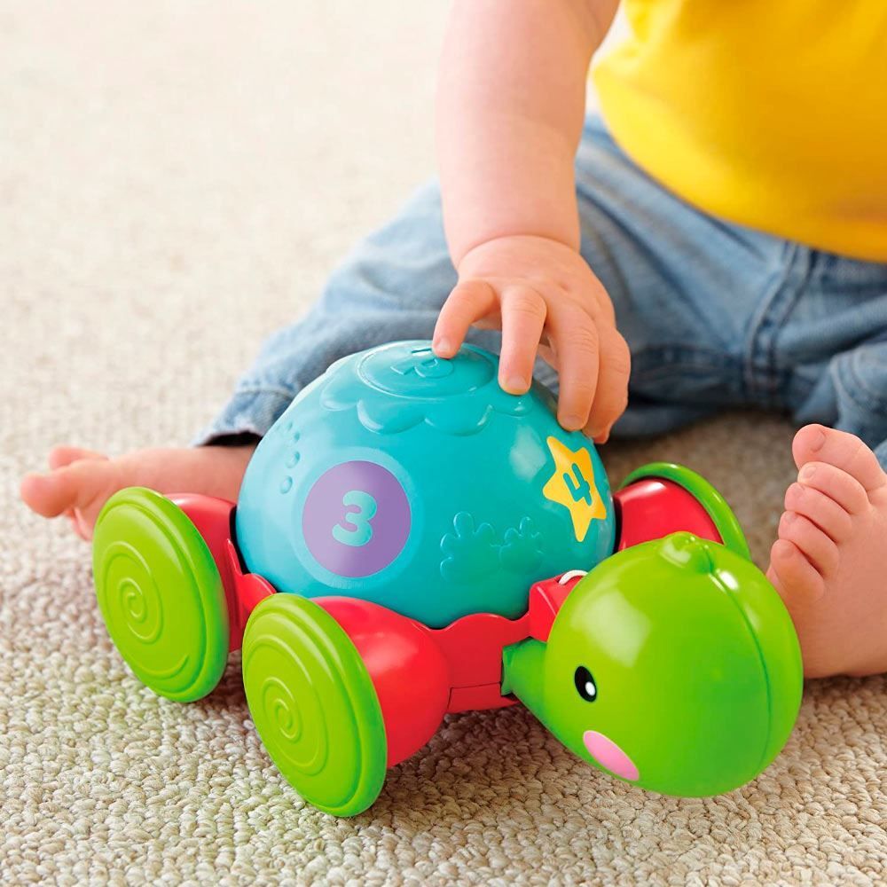 Empurra Tartaruga Fisher Price - Y8652