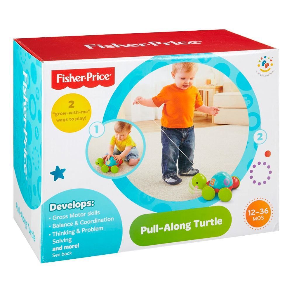 Empurra Tartaruga Fisher Price - Y8652