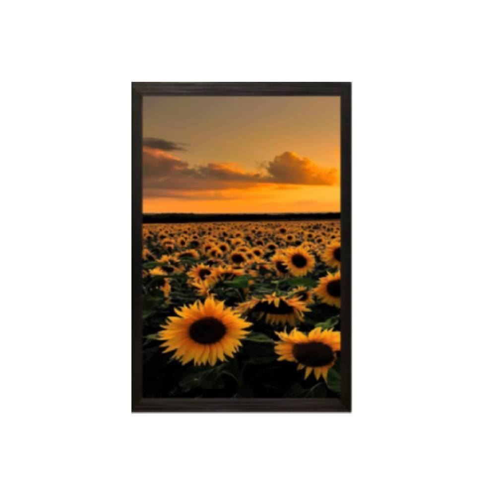 Jogo De Quadros Fx Quadros 28Cm 3 Peças - Girassol