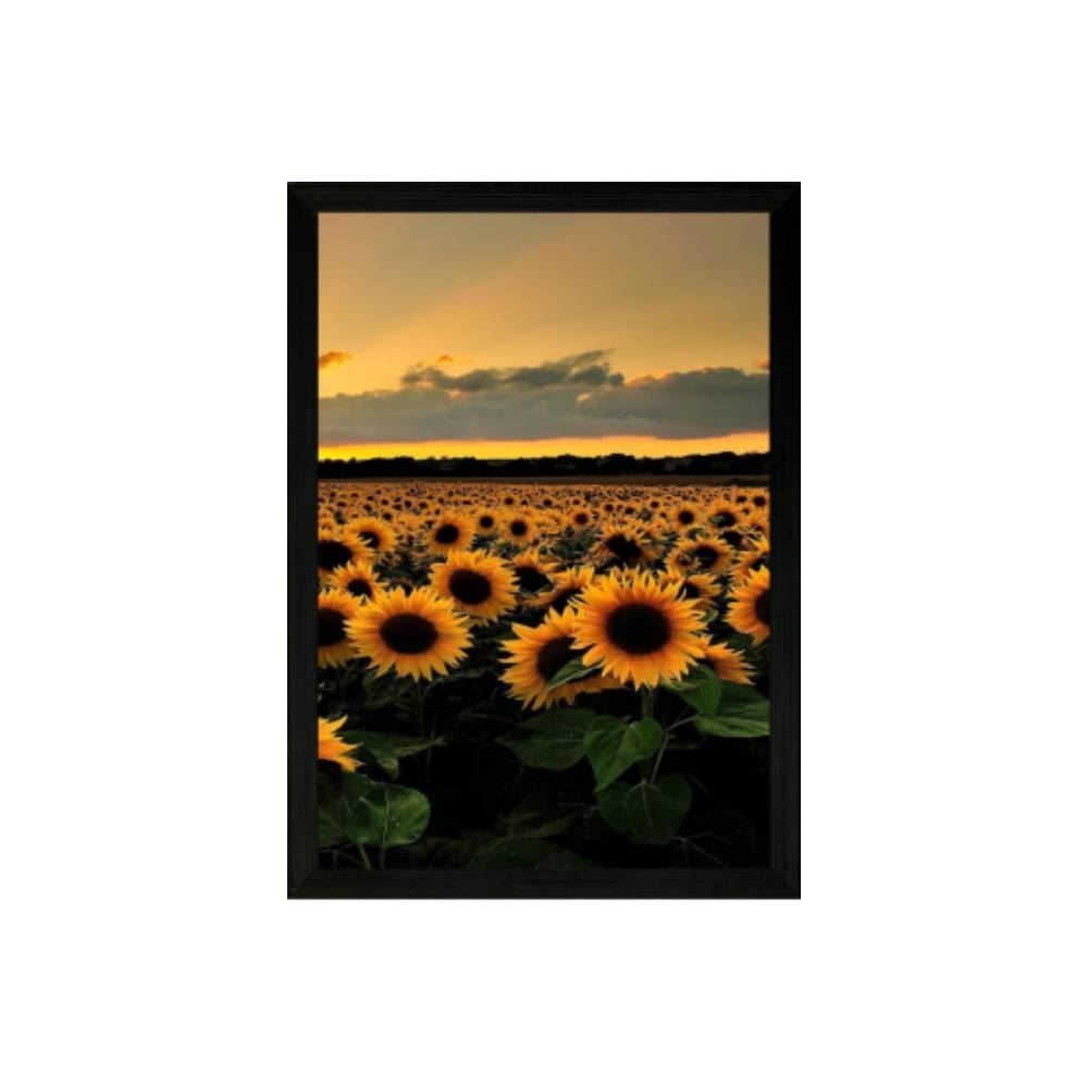 Jogo De Quadros Fx Quadros 28Cm 3 Peças - Girassol
