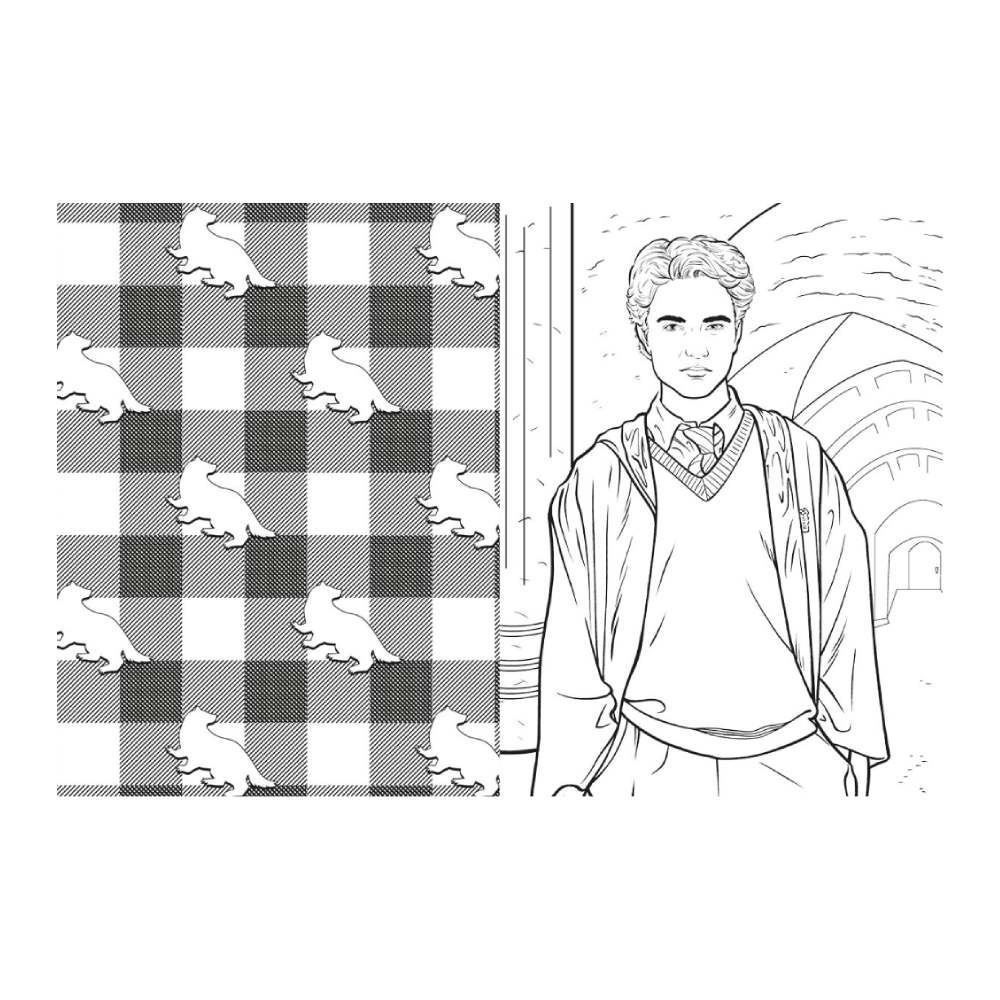 Livro Harry Potter Casas De Hogwarts Lufa-Lufa Ciranda Cultural - Para Colorir