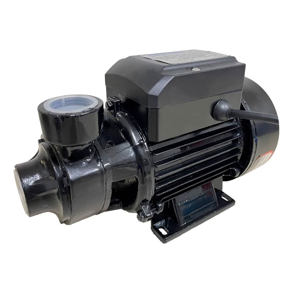 Motobomba Periférica 1,0Cv Eletroplas - Bivolt