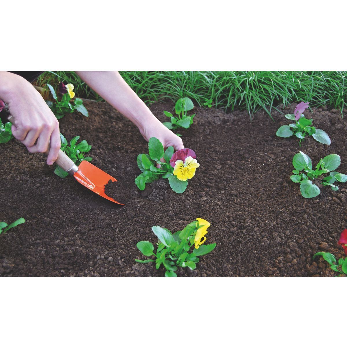 Pazinha Estreita Metálica com Cabo de Madeira Tramontina - Laranja