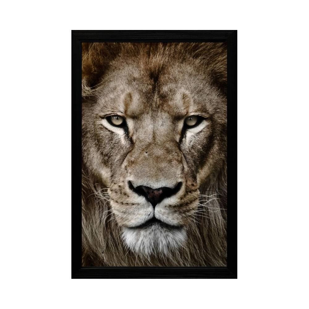 Quadro Retangular Fx Quadros 33Cm - Leão