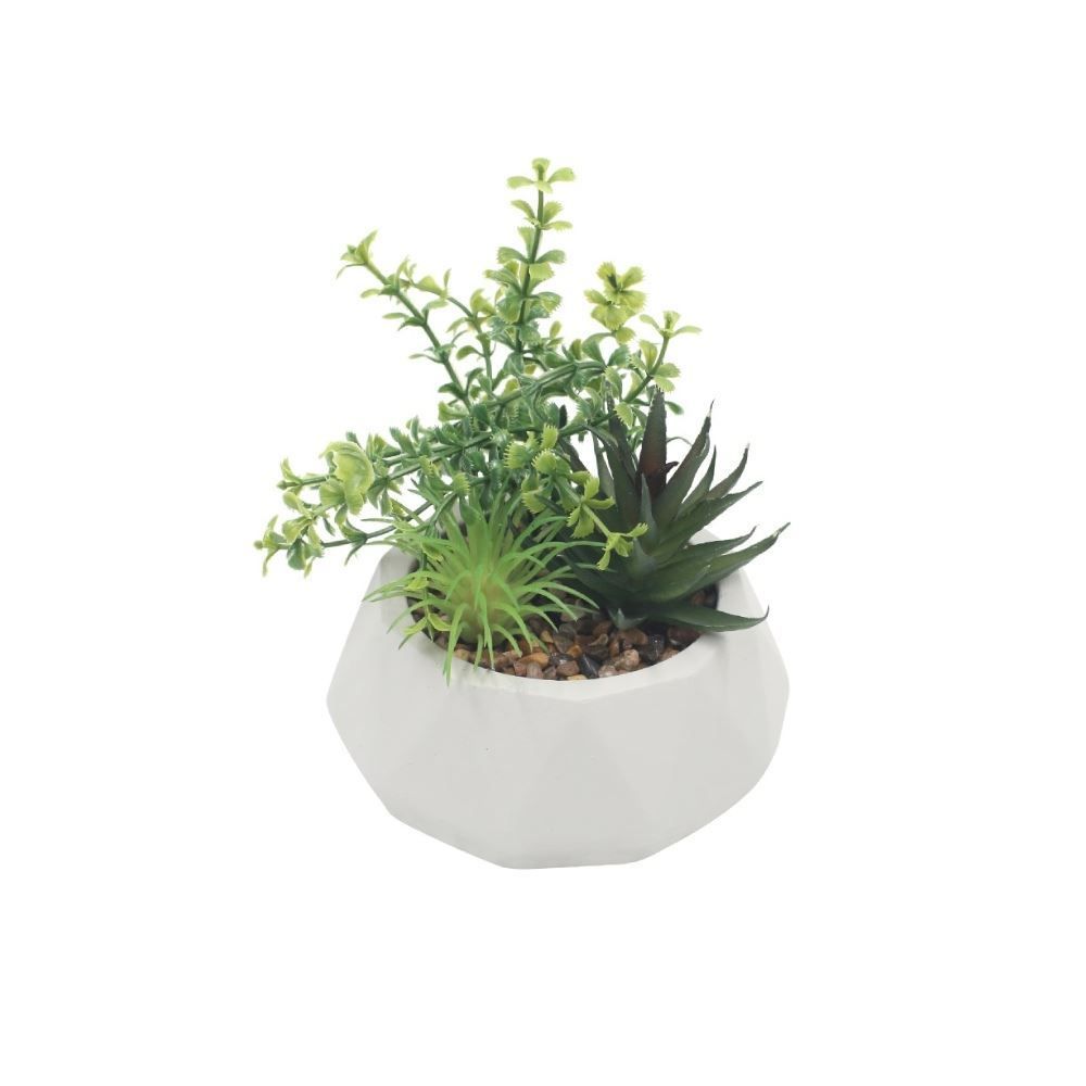 Suculenta Artificial Com Vaso De Cimento Havan Casa 12 Cm - Branco