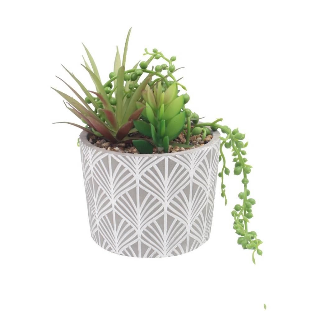 Suculenta Com Vaso De Cimento 15,8Cm - Havan Casa