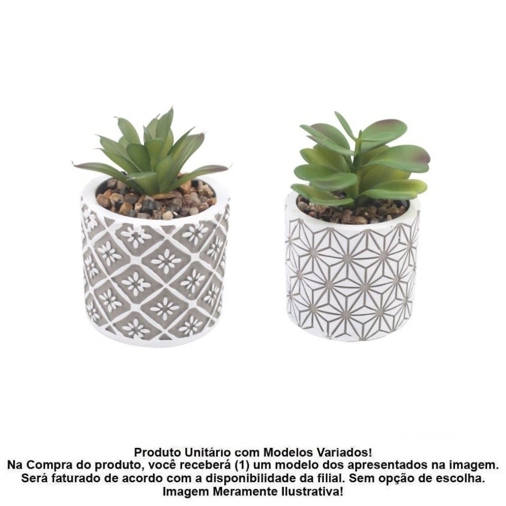 Suculenta com Vaso de Cimento Havan Casa 10,4Cm - Sortido