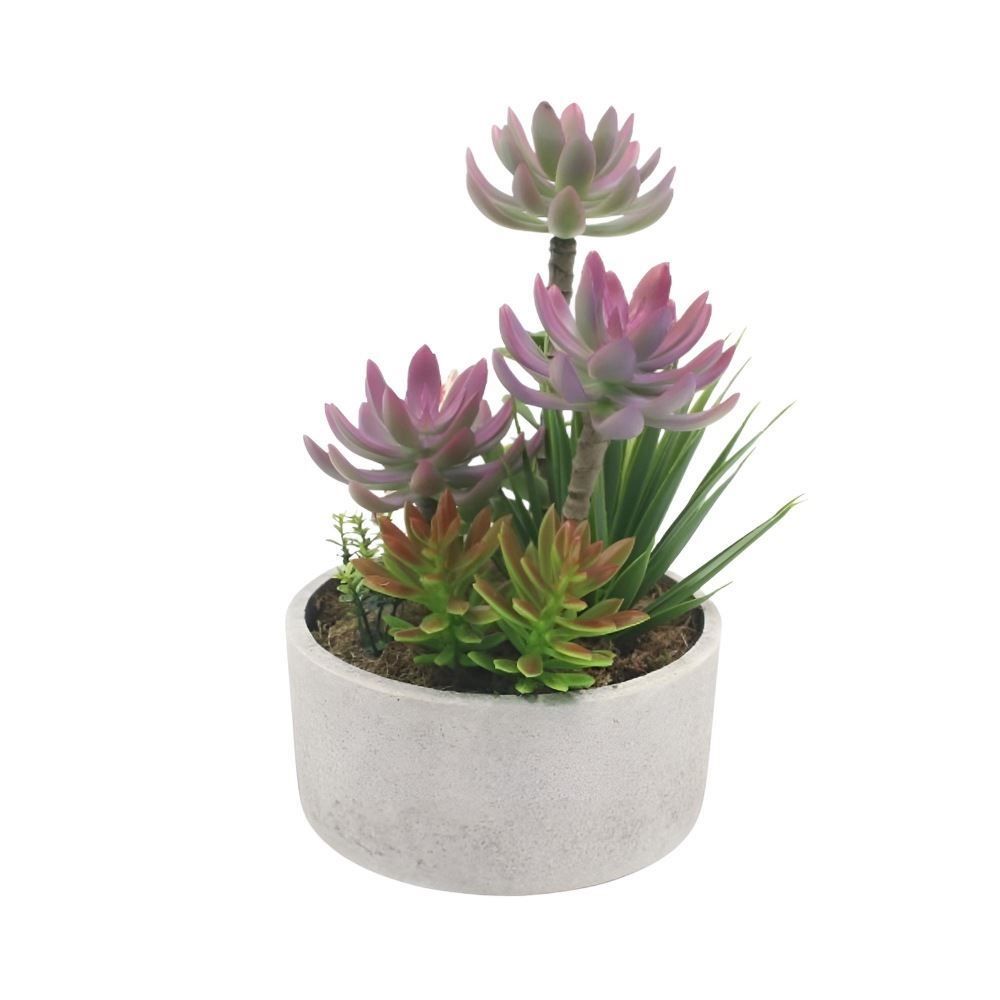 Suculenta Com Vaso Havan Casa 25Cm - Sortido