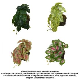 Arranjo Caladium Florarte 23Cm - Sortido