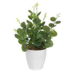 Arranjo Eucalipto Florarte 33Cm - Sortido