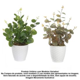 Arranjo Eucalipto Florarte 33Cm - Sortido