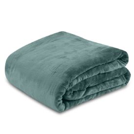 Cobertor Queen Premier Liso Havan Casa - Verde