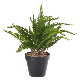 Arranjo Samambaia Florarte 24 Cm