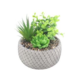 Suculenta Artificial com Vaso Cimento Havan Casa 16Cm - Sortido