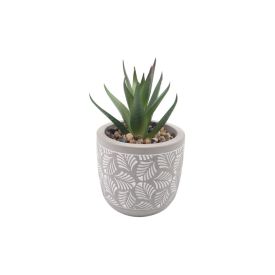 Suculenta Artificial Com Vaso De Cimento Havan Casa 10,5 Cm - Sortido