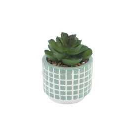 Suculenta Artificial Com Vaso De Cimento Havan Casa 9,8 Cm - Sortido