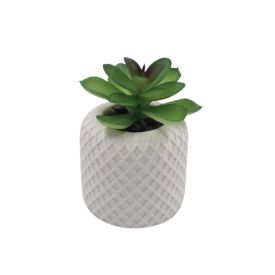 Suculenta Artificial Vaso de Cimento Havan Casa 10Cm - Sortido