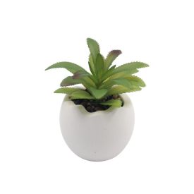 Suculenta Artificial Vaso de Cimento Havan Casa 12Cm - Sortido