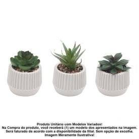 Suculenta com Vaso de Cimento Havan Casa 9Cm - Sortido